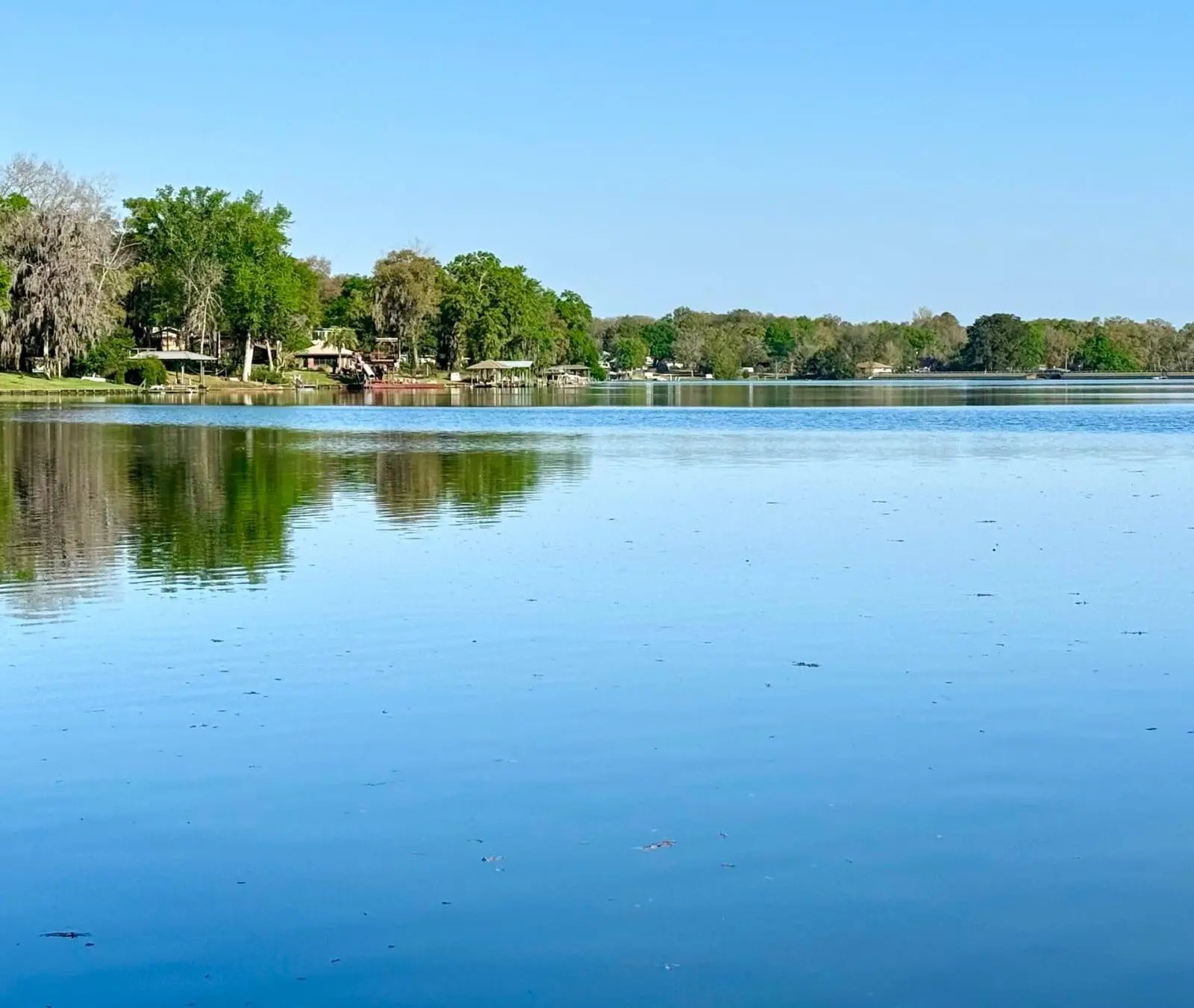 Waterfront View of Lake Asbury